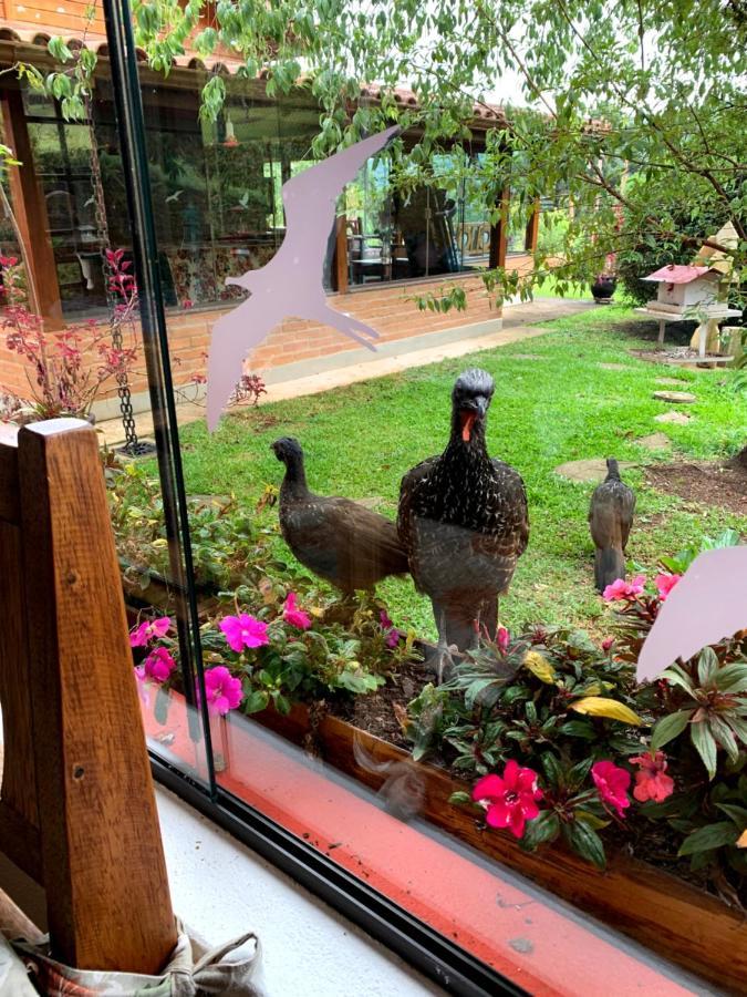 Aconchegante Casa Em Monte Verde Esterno foto