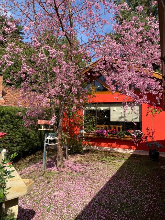 Aconchegante Casa Em Monte Verde Esterno foto